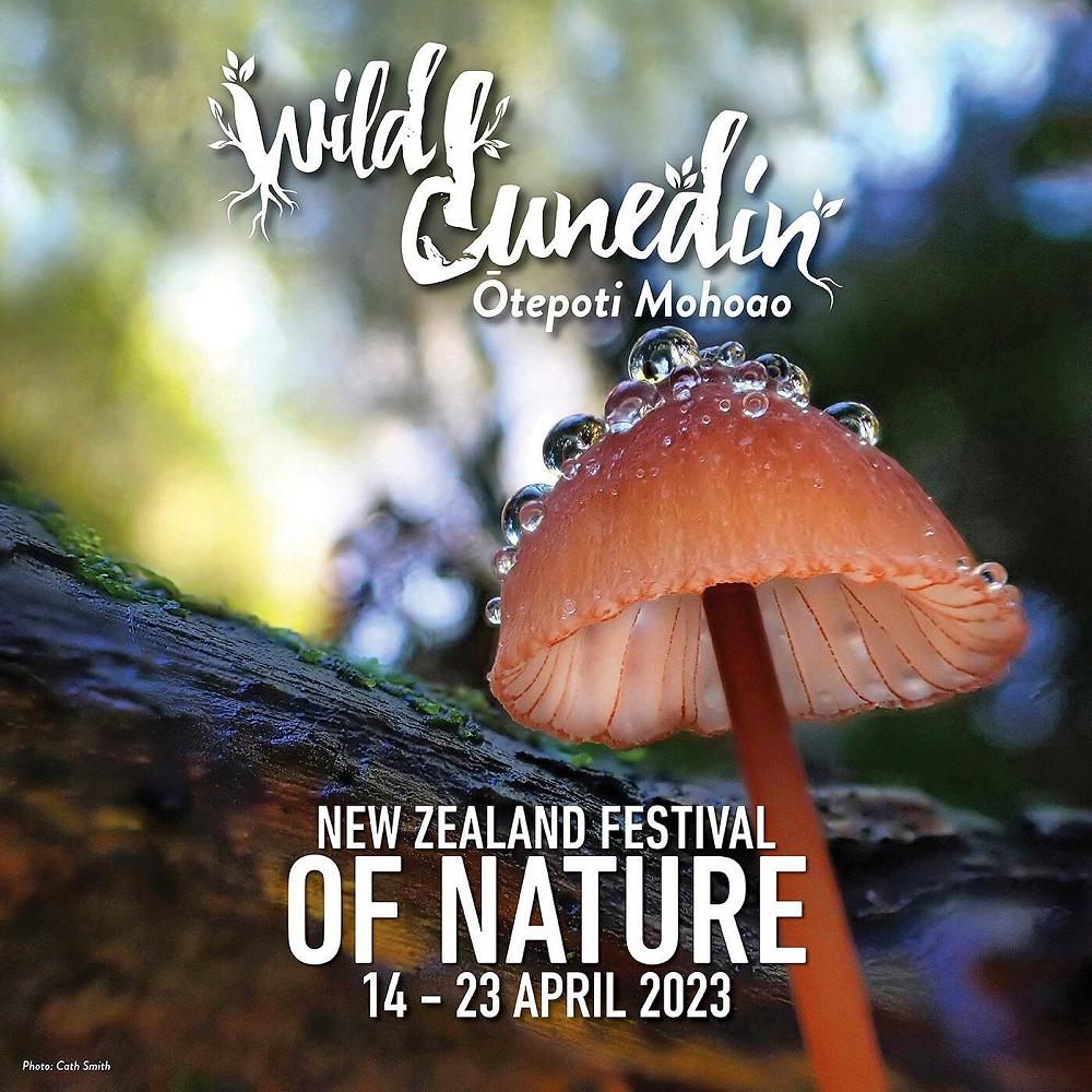 Wild Dunedin Festival — Te Karaka Manu Term 1 Week 8