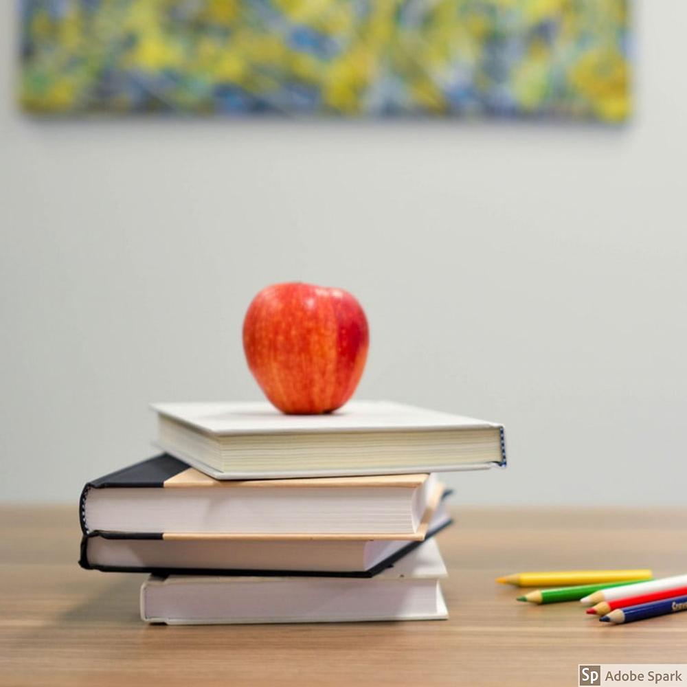 Ngatea Home Based Programmes (24 March 2020)