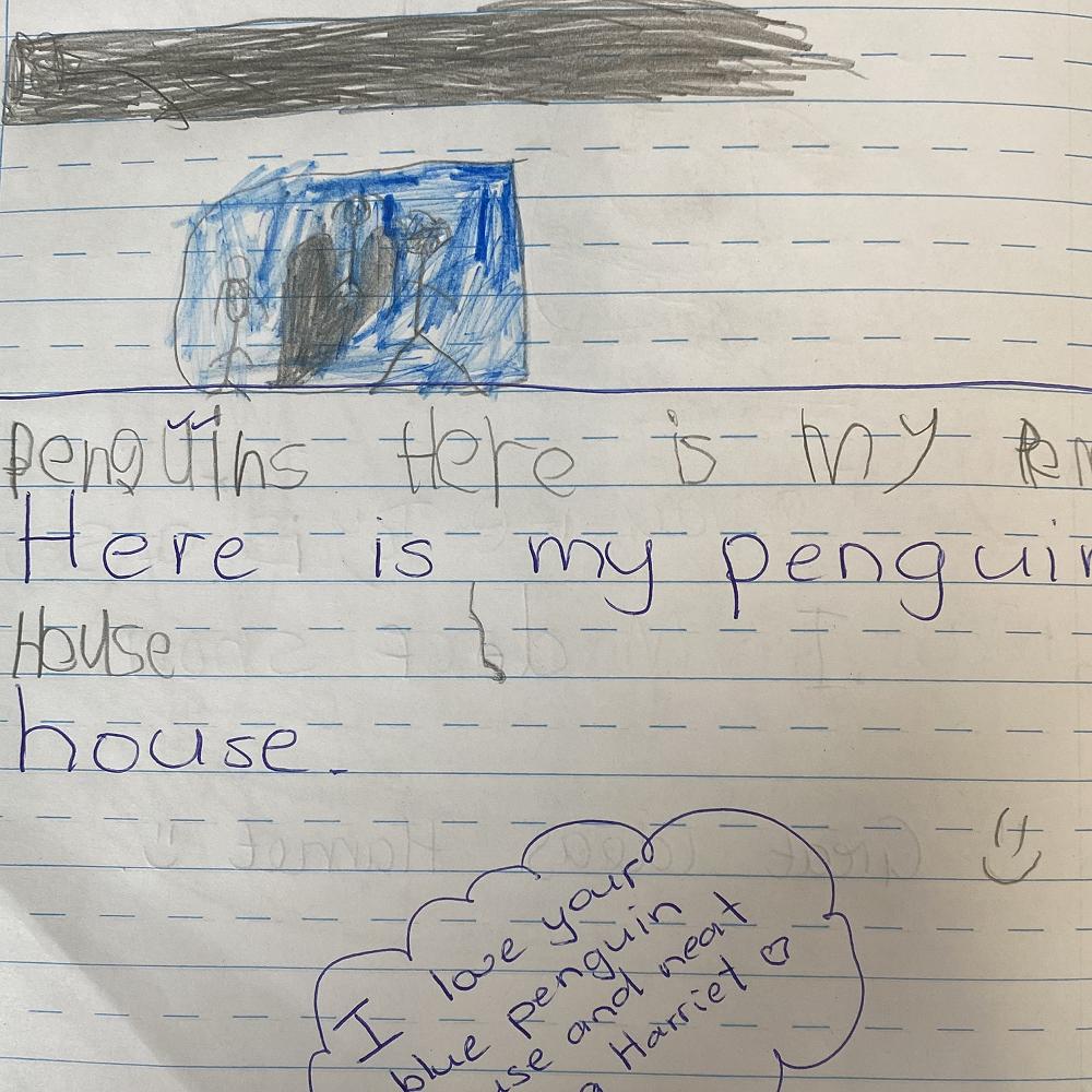 Building penguin houses for Enviroday