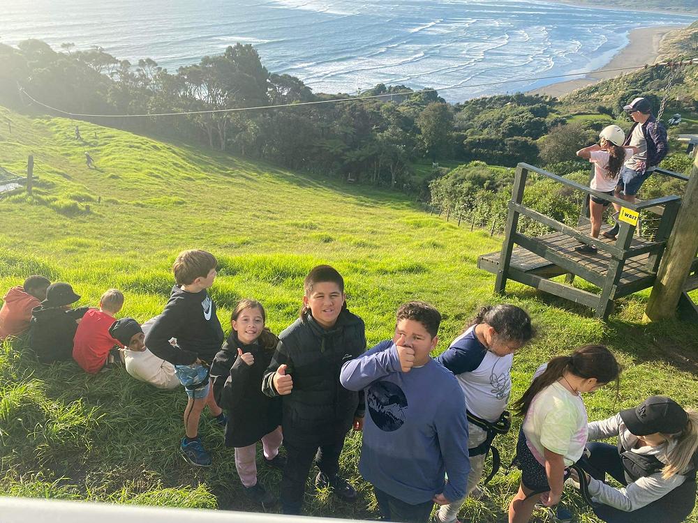 week-6-term-2-newsletter