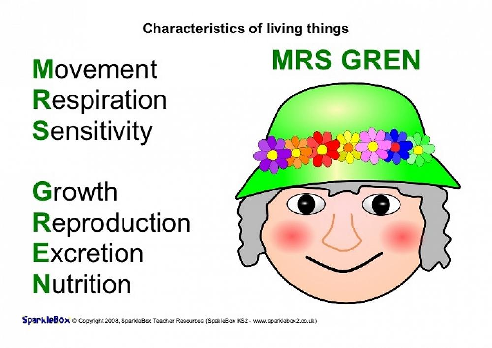 mrs-gren-science-inquiry