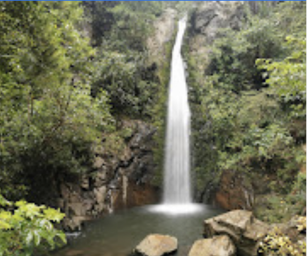 Yaldhurst Model School Newsletter Monday 29 November 2022