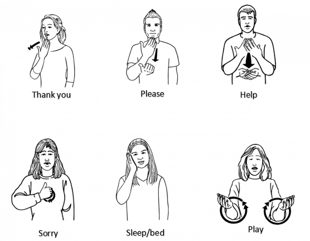 How To Say My Name Is In Nz Sign Language