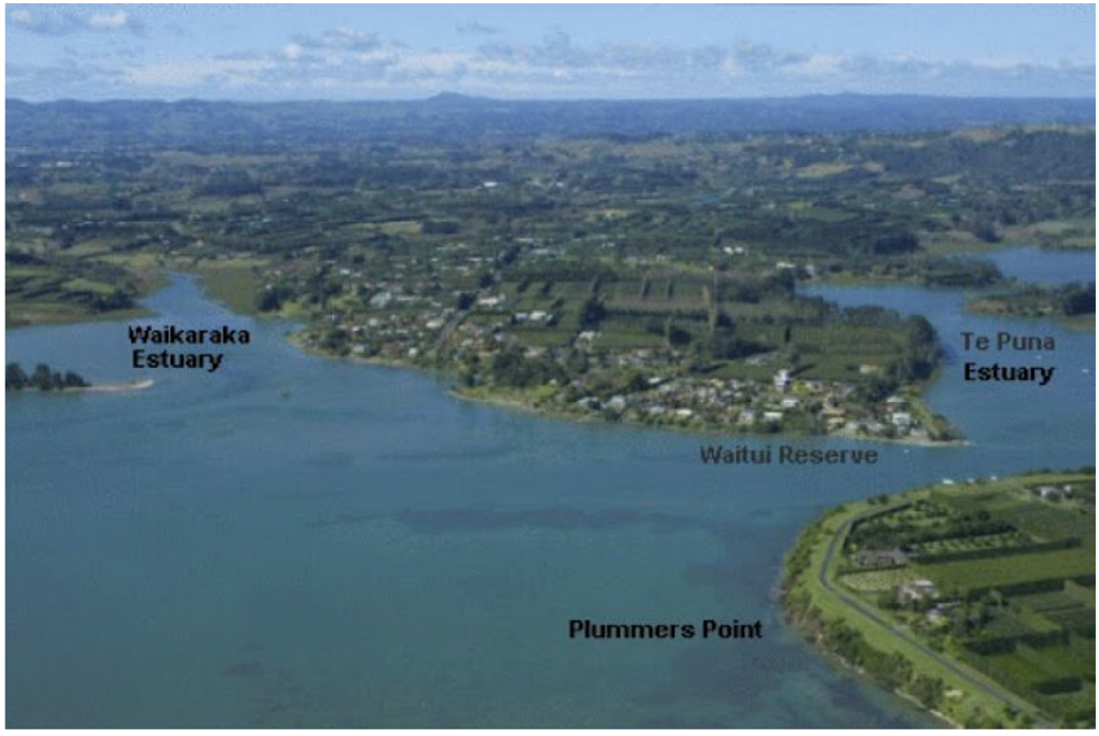 Te Puna History Challenge — Newsletter Term 2, Week 10, 2023