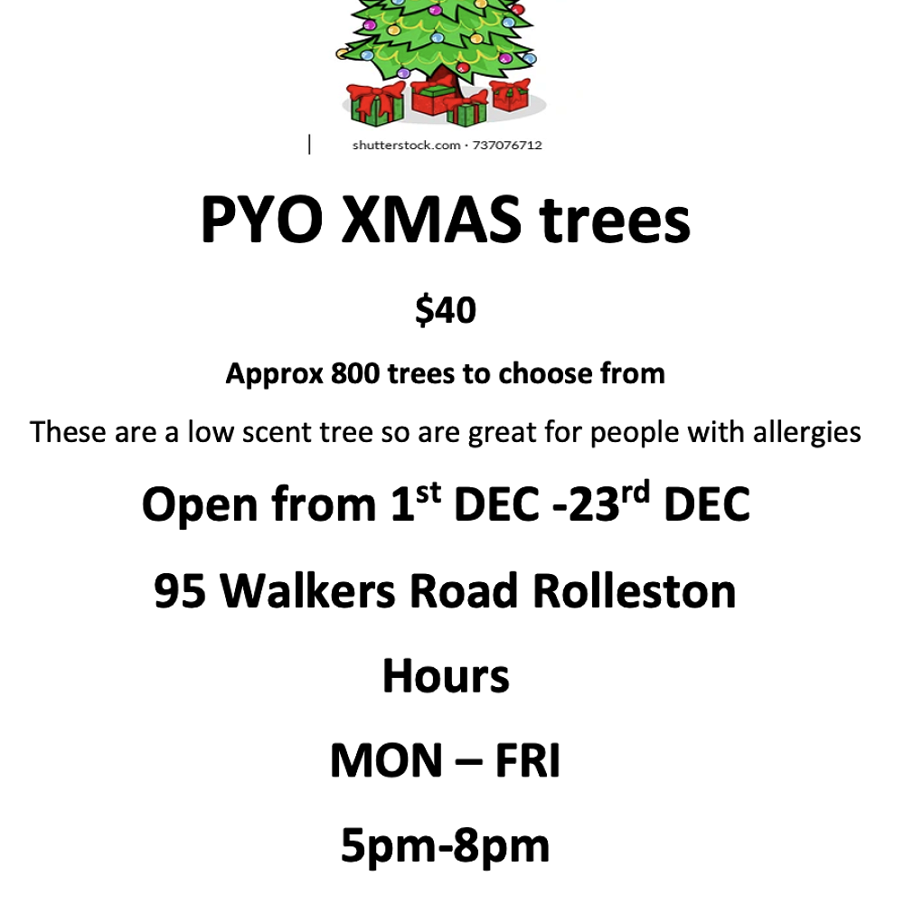 PYO Xmas trees — Newsletter Week 7, Term 4 2022
