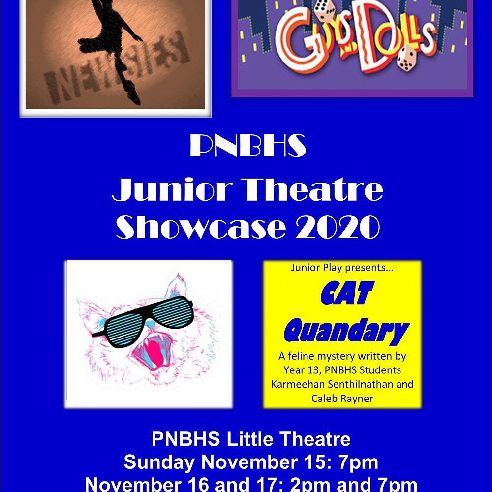 Junior Theatre Showcase 2020
