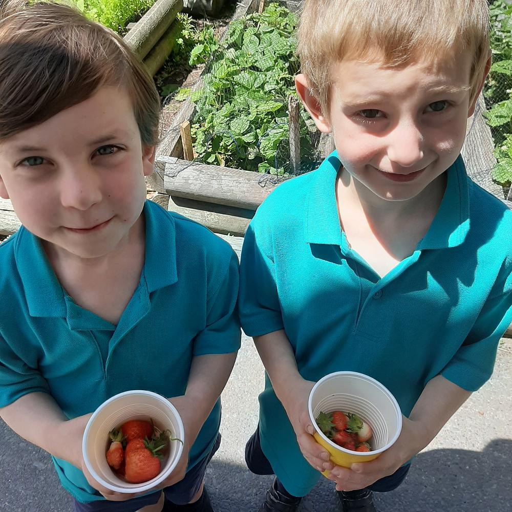Green fingers in Year 1&2