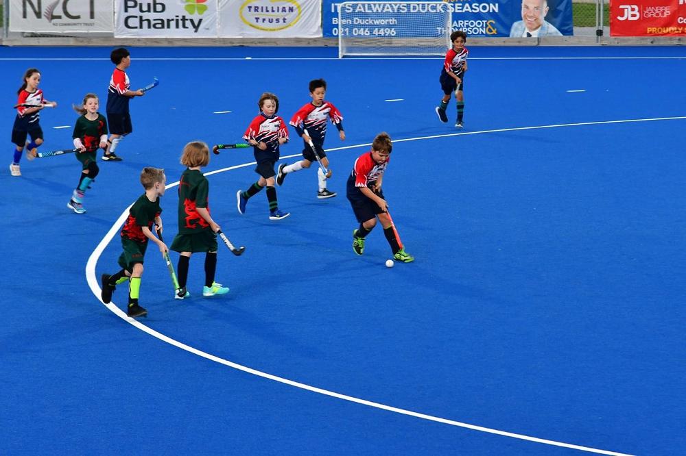 Term 4 Summer Hockey