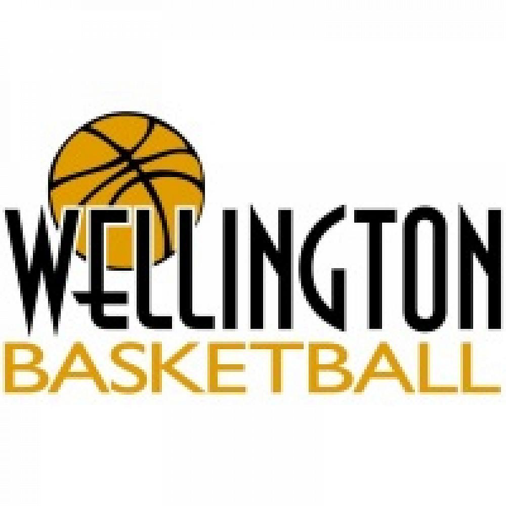 Wellington Basketball Reps