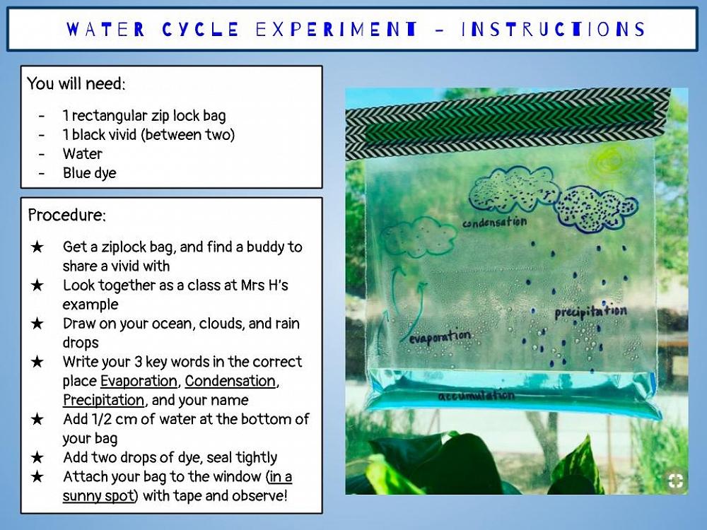 Kereru's Scientific Reports - The Water Cycle