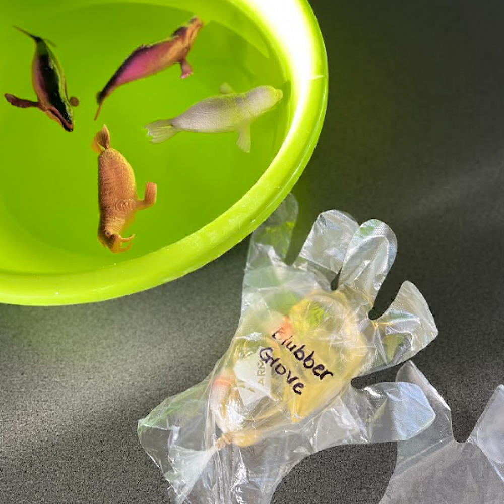 STEM Blubber Glove Experiment