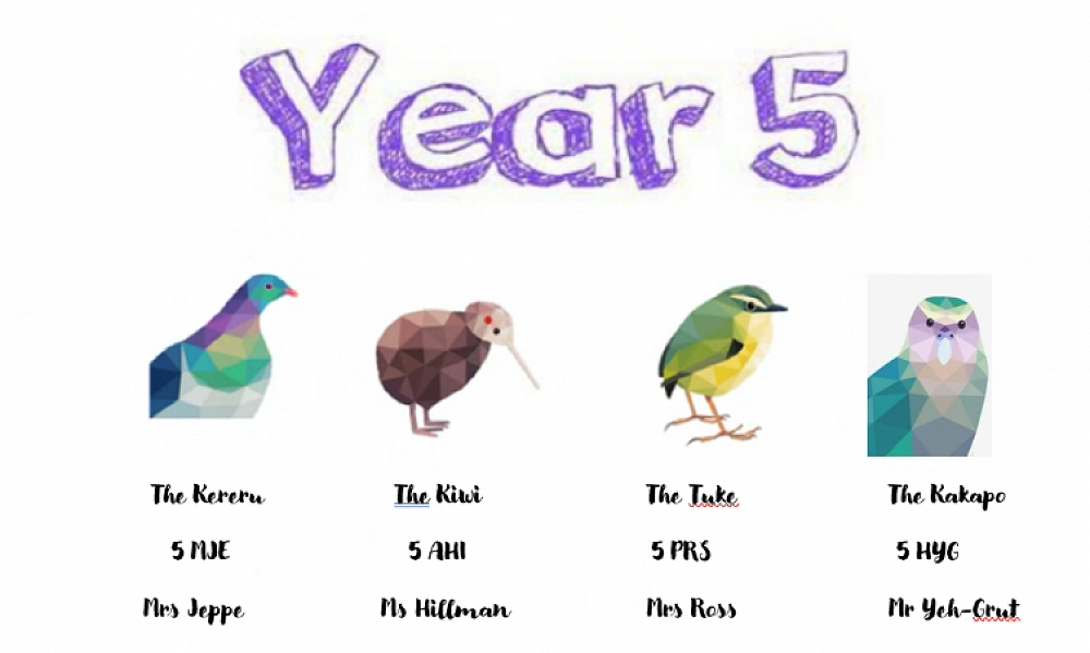 Year 5 Schedule