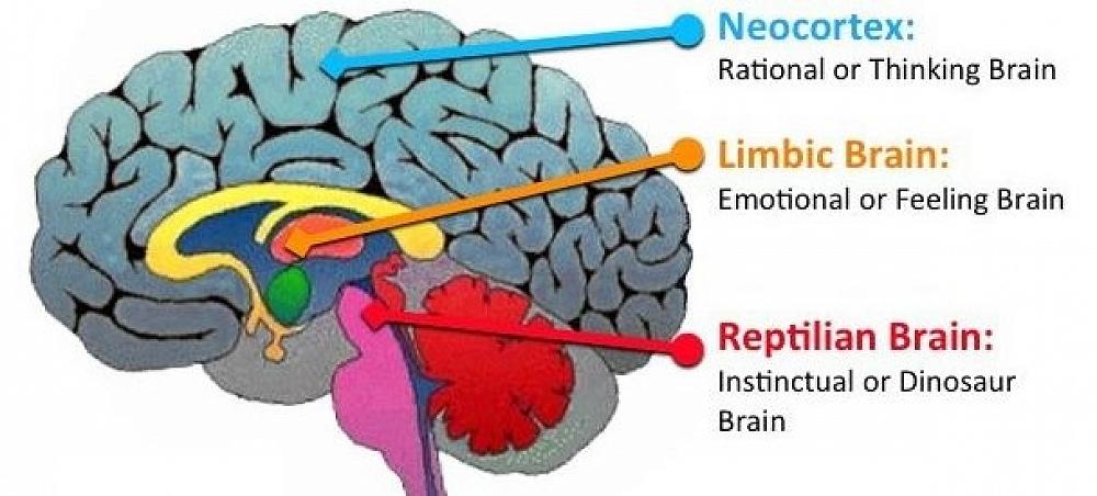 Teaching in The Age of Anxiety