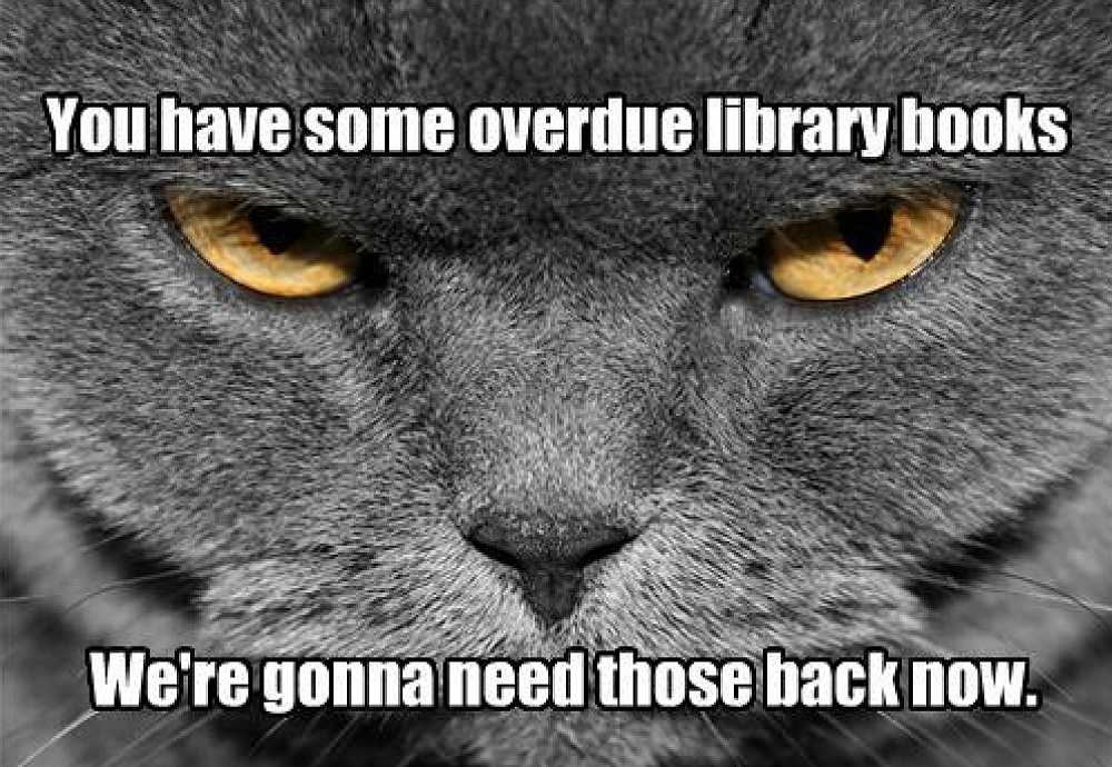 Overdue library books