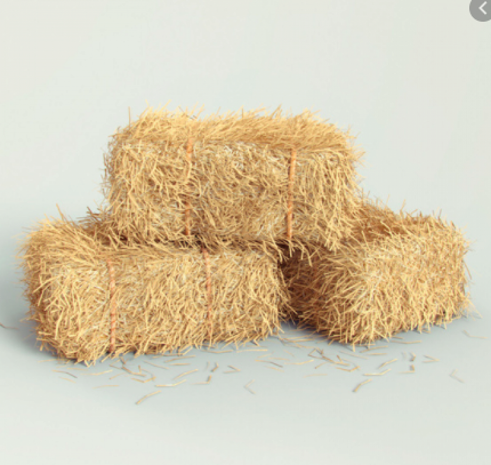We Need Some Hay Bales Can You Help Panui 27 November 2020 Week 7 Term 4