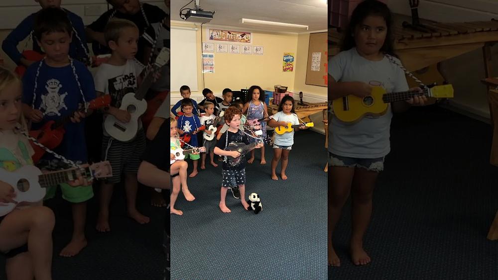 Video Music lessons are a hit