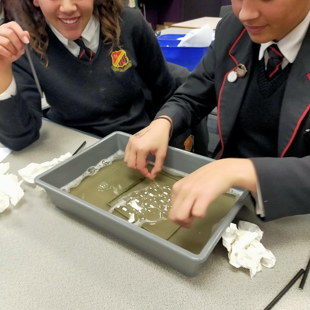 Year 12 Biology Bubble Lab