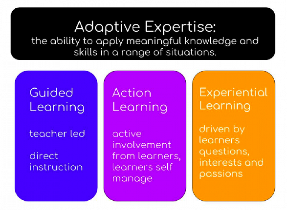 Adaptive Expertise — Teaching and Learning