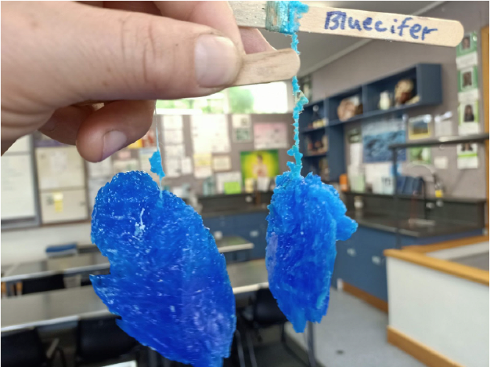 Copper Sulfate (CuSO4) crystals