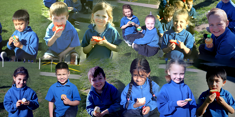 Principal's Pen - Term 3 - Week 7, 2022 — Latest Articles