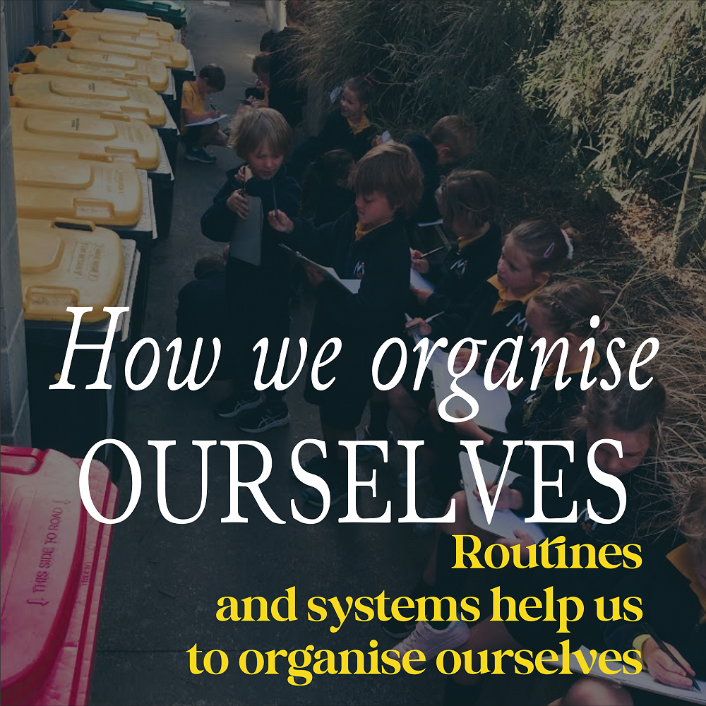 Our Learning How we organise ourselves