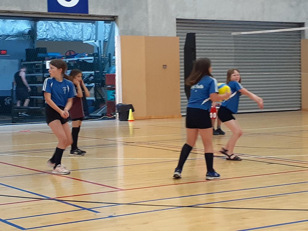 Primary Volleyball