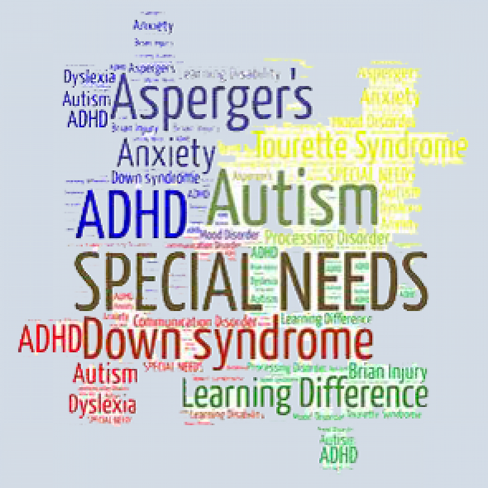 The SENCO Role What do you need to know? — Kaikorai School Newsletter