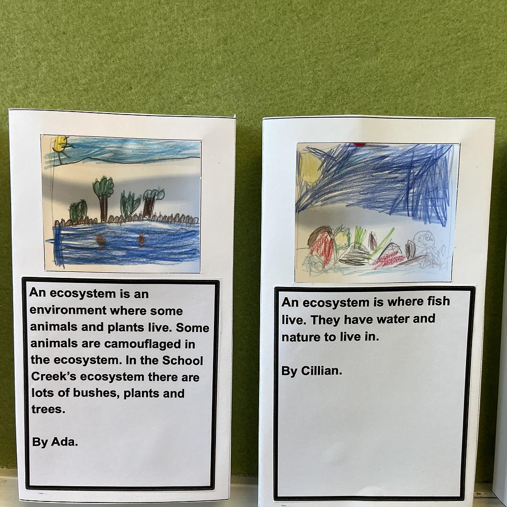 A hub full of Kaitiakitanga's in Room's 12 & 13! — School Newsletter