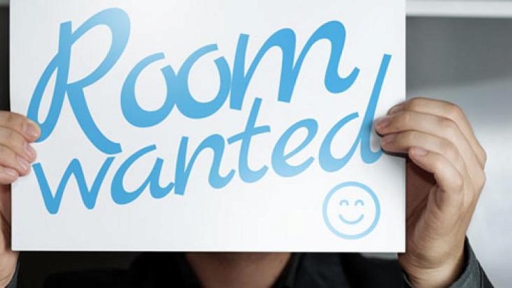 Do you have a spare room? — Open Magazine Panui John Paul II High