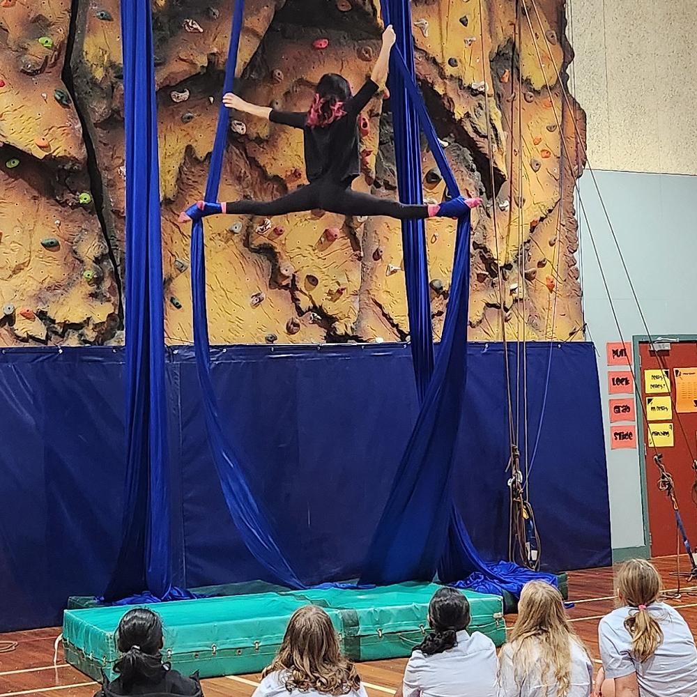 new-sport-coming-to-dhs-aerial-silks-dhs-dispatch-13-june-2025