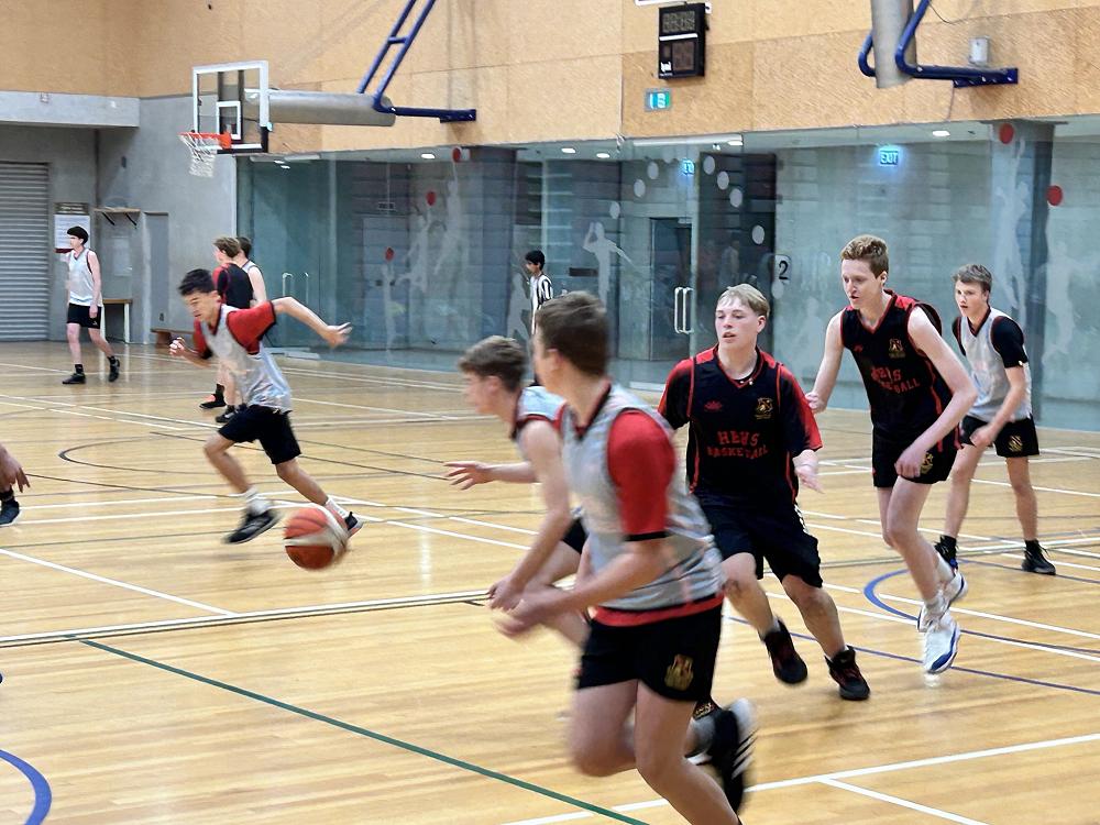 🏴 D League Basketball 🏀