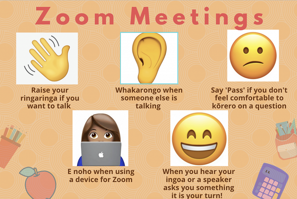 Zoom meetings some pointers