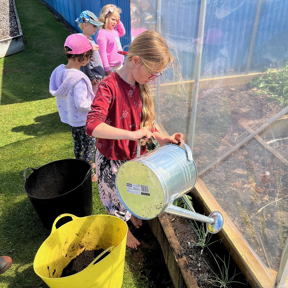 garden-to-table