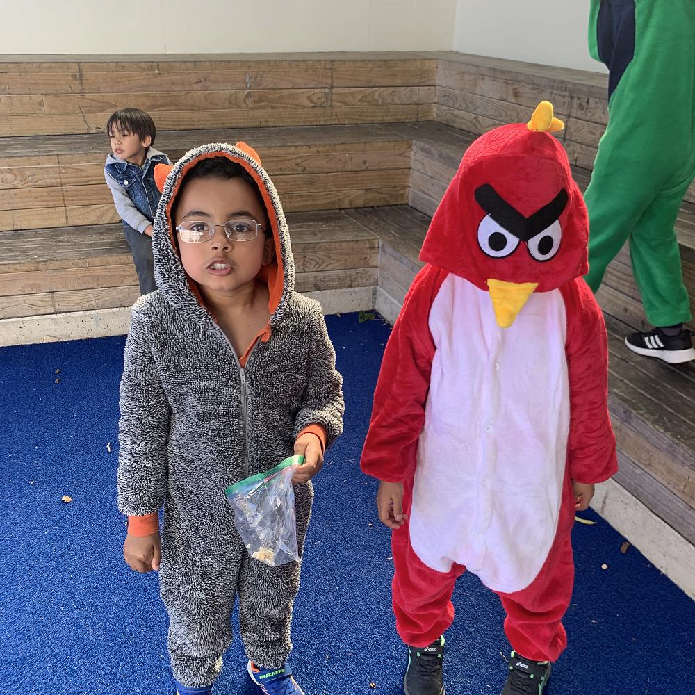 Onesie Day — Newsletter 8 September 2023
