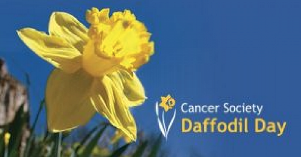 Daffodil Day 25th August — Kāwerongo/Newsletter Term 3 Week 5