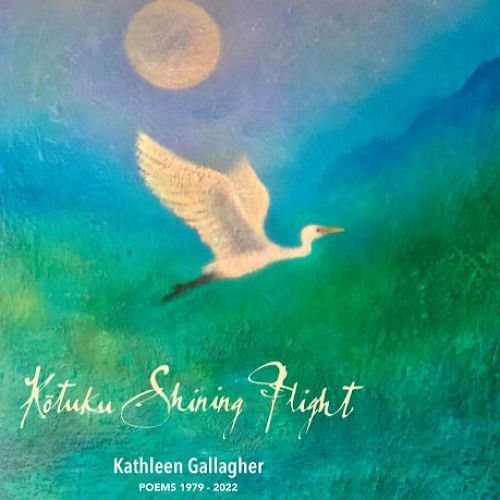 Kōtuku Shining Fight