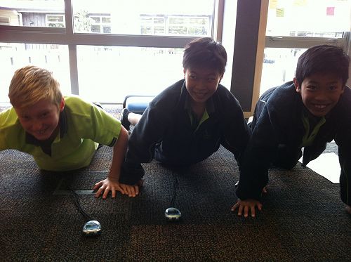 Physical fitness
