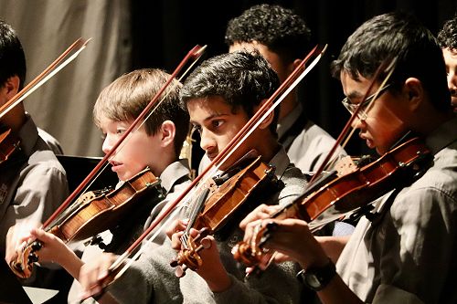 Cultural Activity and Performing Arts Information Day