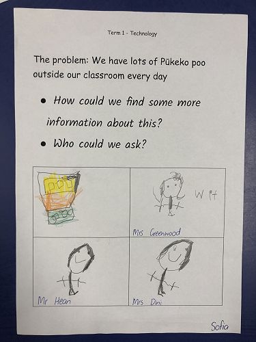 Harakeke Technology Problem