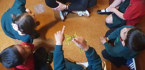 Awa's Trip to the Canterbury Museum