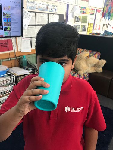 Milkshakes, Rm 3 - T2 2019