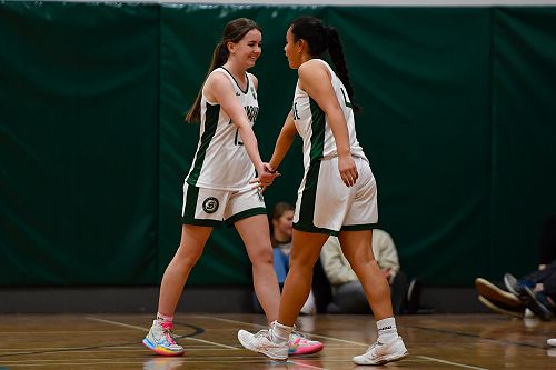 Basketball Girls Senior A Team - Whelan Trophy Competition