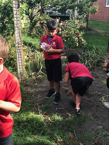 STEAM - Terrarium Making - Team Harakeke