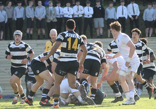 1st XV vs New Plymouth Boys' High School