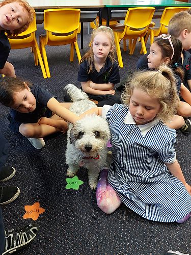 Tui 3 love having Eddie sharing their learning time.