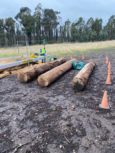 Trees retrieved from paddocks ready to be cut
