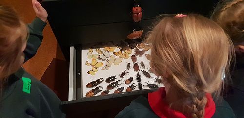 Awa's Trip to the Canterbury Museum