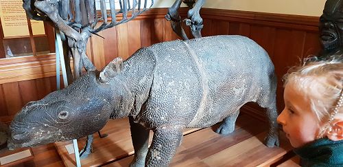 Awa's Trip to the Canterbury Museum