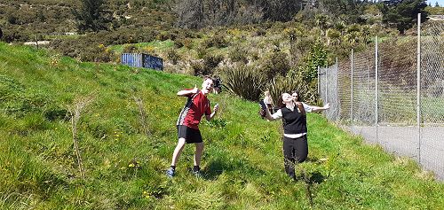 Les Manuka de la quatrième