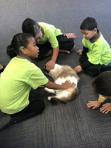 The day a cat came to visit 